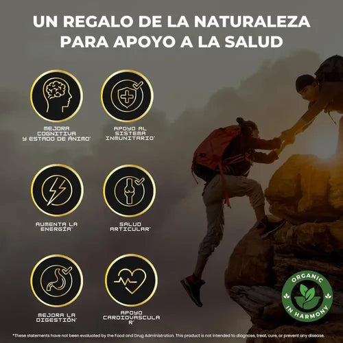NUEVA PRESENTACION GOMAS SHILAJIT x 60C/U -MEGA OFERTA